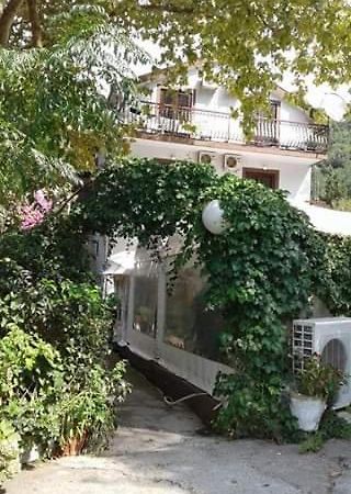 Pansion Mimoza Bed and Breakfast Herceg Novi Buitenkant foto