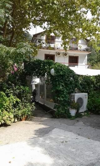 Pansion Mimoza Bed and Breakfast Herceg Novi Buitenkant foto