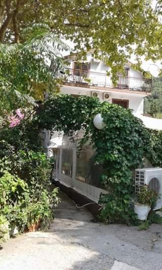 Pansion Mimoza Bed and Breakfast Herceg Novi Buitenkant foto