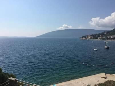 Pansion Mimoza Bed and Breakfast Herceg Novi Buitenkant foto